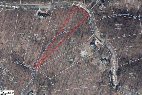 21 Plumley Summit Road Landrum SC 29356