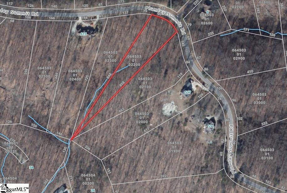 21 Plumley Summit Road Landrum SC 29356