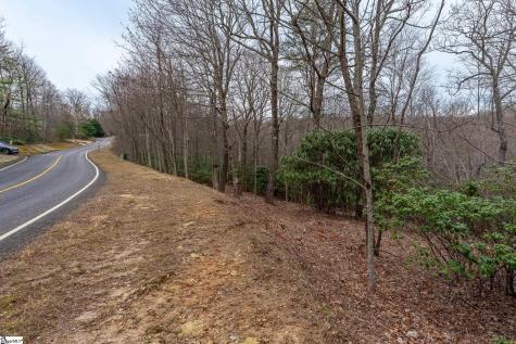 24 Blazing Star Trail Landrum SC 29356