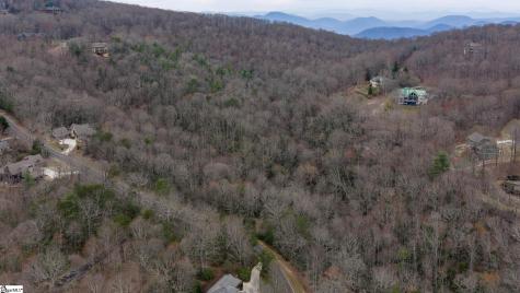 24 Blazing Star Trail Landrum SC 29356