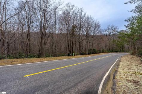 24 Blazing Star Trail Landrum SC 29356