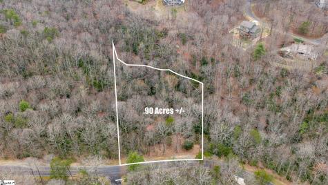 24 Blazing Star Trail Landrum SC 29356