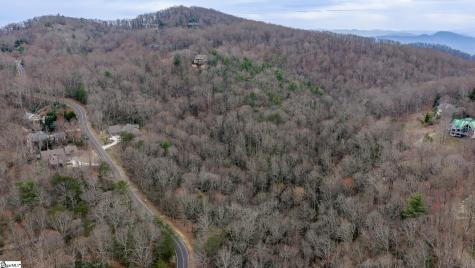 24 Blazing Star Trail Landrum SC 29356