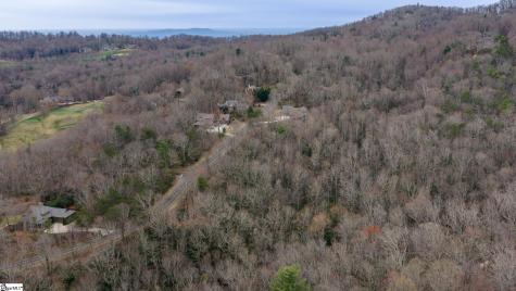 24 Blazing Star Trail Landrum SC 29356