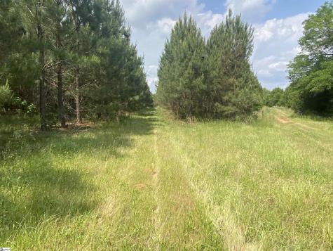 3393 Poplar Springs Road Ware Shoals SC 29692