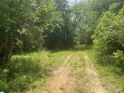 3393 Poplar Springs Road Ware Shoals SC 29692