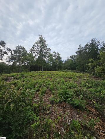 1138 Belue Mill Road Landrum SC 29356