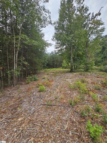 1138 Belue Mill Road Landrum SC 29356