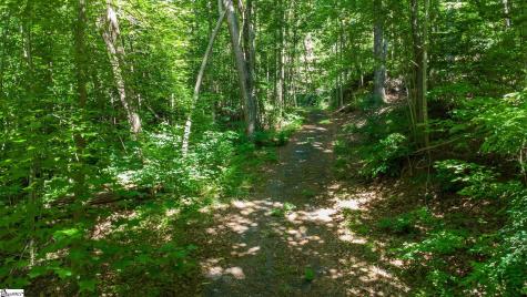 146 Glassy Falls Trail Travelers Rest SC 29690
