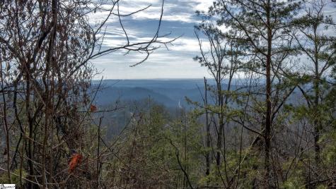 146 Glassy Falls Trail Travelers Rest SC 29690
