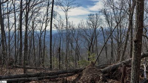 146 Glassy Falls Trail Travelers Rest SC 29690