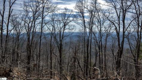 146 Glassy Falls Trail Travelers Rest SC 29690