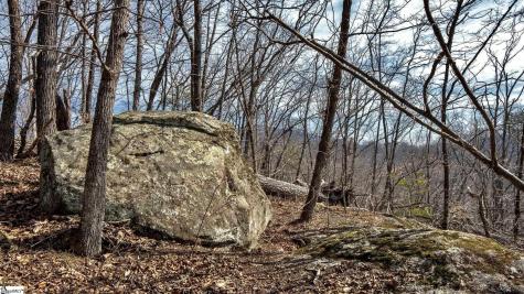 146 Glassy Falls Trail Travelers Rest SC 29690