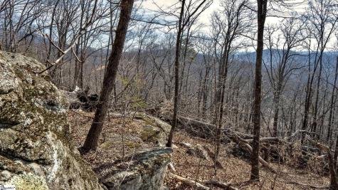 146 Glassy Falls Trail Travelers Rest SC 29690