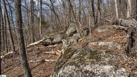 146 Glassy Falls Trail Travelers Rest SC 29690