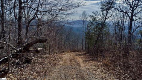 146 Glassy Falls Trail Travelers Rest SC 29690
