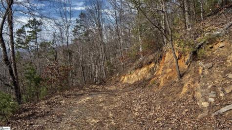 146 Glassy Falls Trail Travelers Rest SC 29690