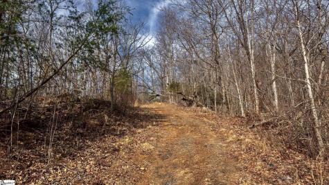 146 Glassy Falls Trail Travelers Rest SC 29690