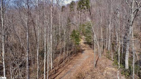 146 Glassy Falls Trail Travelers Rest SC 29690