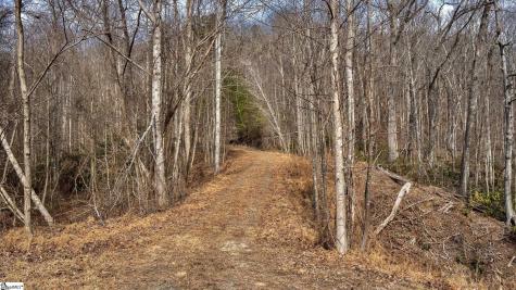 146 Glassy Falls Trail Travelers Rest SC 29690