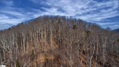 146 Glassy Falls Trail Travelers Rest SC 29690