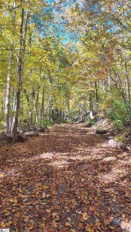 146 Glassy Falls Trail Travelers Rest SC 29690