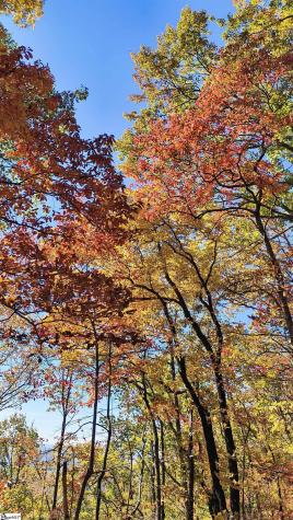 146 Glassy Falls Trail Travelers Rest SC 29690