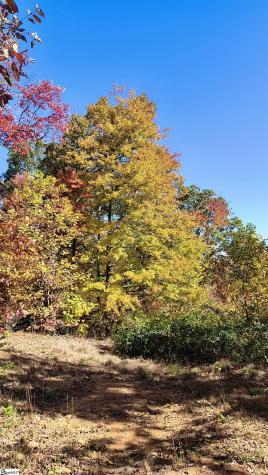 146 Glassy Falls Trail Travelers Rest SC 29690
