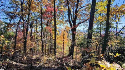 146 Glassy Falls Trail Travelers Rest SC 29690