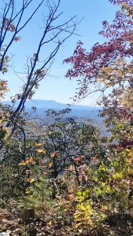 146 Glassy Falls Trail Travelers Rest SC 29690