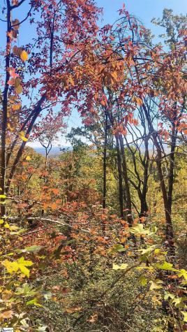 146 Glassy Falls Trail Travelers Rest SC 29690
