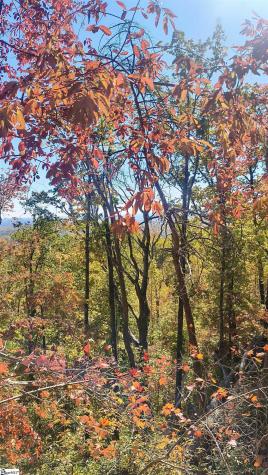 146 Glassy Falls Trail Travelers Rest SC 29690