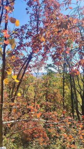 146 Glassy Falls Trail Travelers Rest SC 29690
