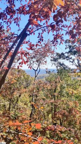 146 Glassy Falls Trail Travelers Rest SC 29690
