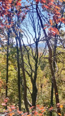 146 Glassy Falls Trail Travelers Rest SC 29690