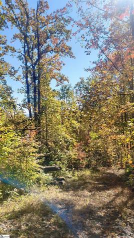 146 Glassy Falls Trail Travelers Rest SC 29690