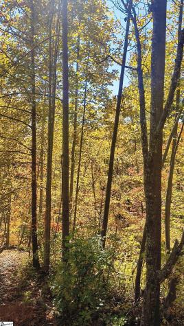 146 Glassy Falls Trail Travelers Rest SC 29690