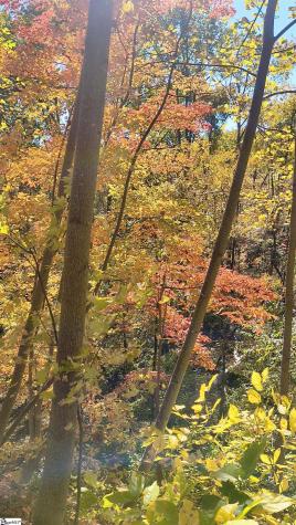 146 Glassy Falls Trail Travelers Rest SC 29690