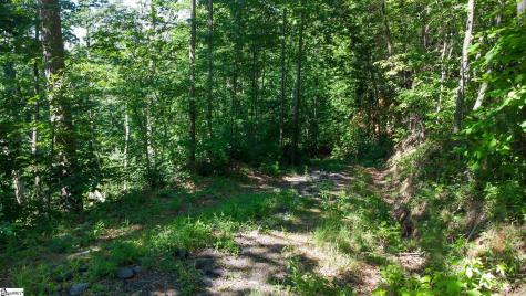 146 Glassy Falls Trail Travelers Rest SC 29690