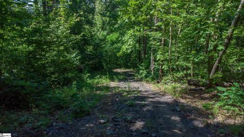 146 Glassy Falls Trail Travelers Rest SC 29690