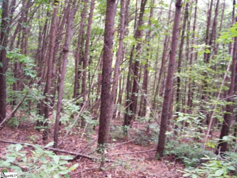 343 Gauley Falls Road Pickens SC 29671