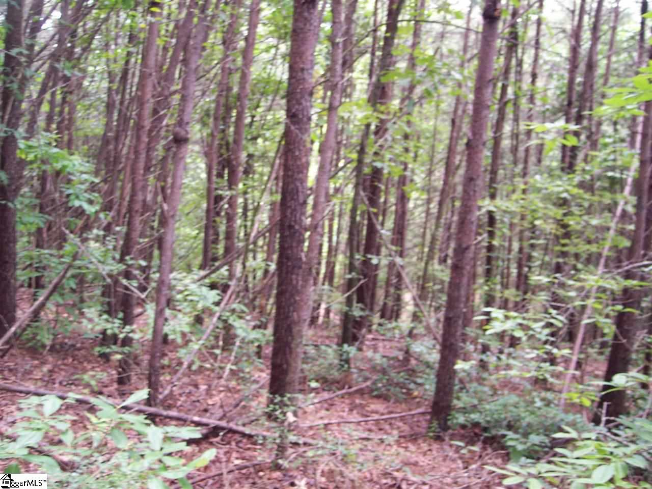 343 Gauley Falls Road Pickens SC 29671