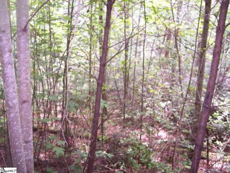 343 Gauley Falls Road Pickens SC 29671