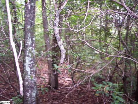 343 Gauley Falls Road Pickens SC 29671