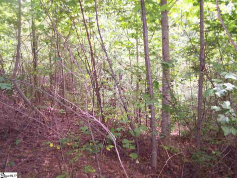 343 Gauley Falls Road Pickens SC 29671