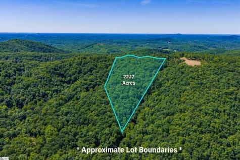00 Dreugh Evins Drive Pickens SC 29671
