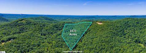 00 Dreugh Evins Drive Pickens SC 29671