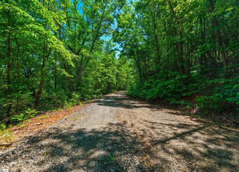 00 Dreugh Evins Drive Pickens SC 29671