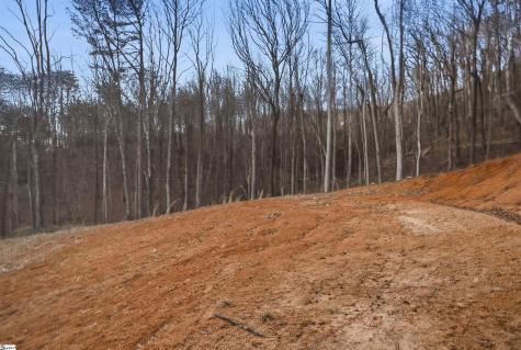 Lot 13 Hideaway Hill Way Landrum SC 29356