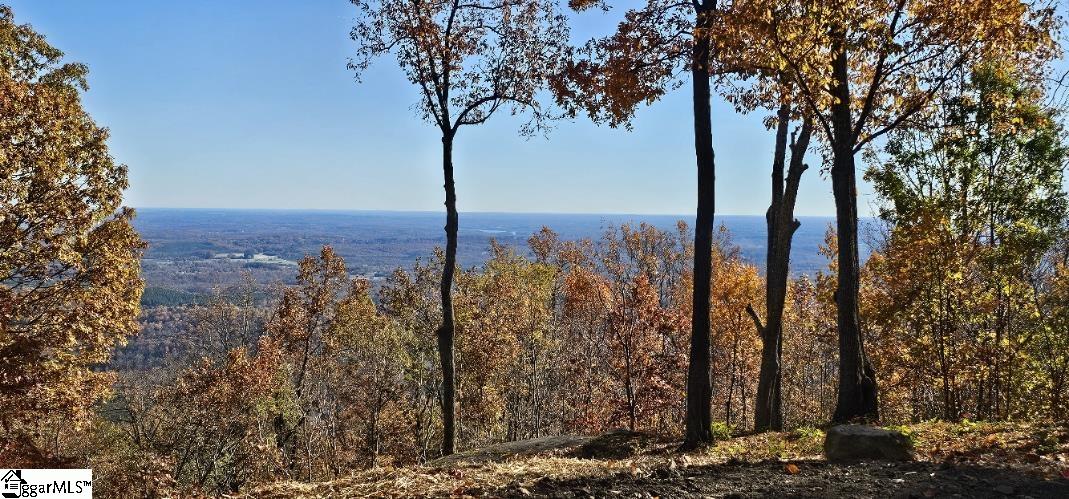 225 Lost Trail Drive Landrum SC 29356
